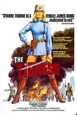 丽江网站优化策略公司